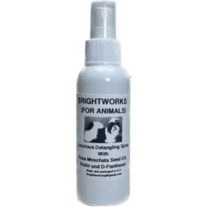 Prabangus BRIGHTWORKS purškiklis 120ml