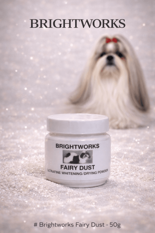 Brightworks fairy dust balinanti pudra