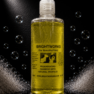BRIGHTWORKS REGENERUOJAMASIS ŠAMPŪNAS