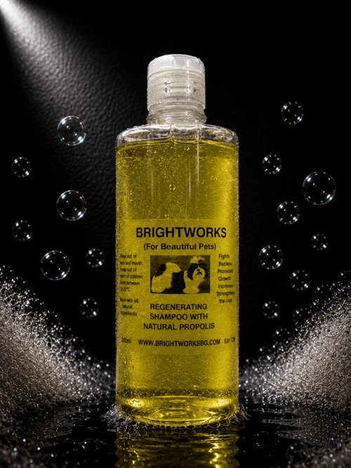 BRIGHTWORKS REGENERUOJAMASIS ŠAMPŪNAS