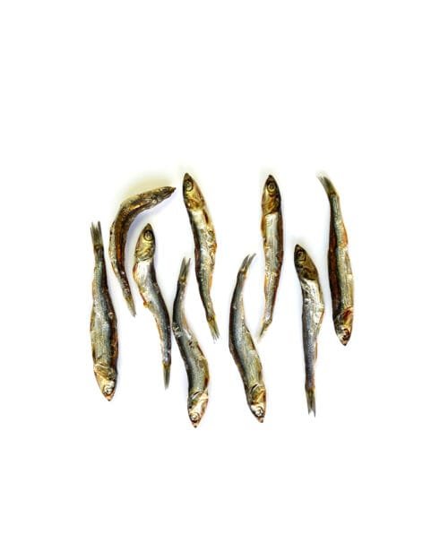 Boquerones 03 Mr.Bones Atlanto ančiuviai šunims ir katėms – 100% Natural Snack