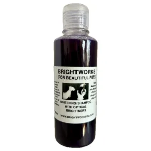 Brightworks -balinantis šampūnas