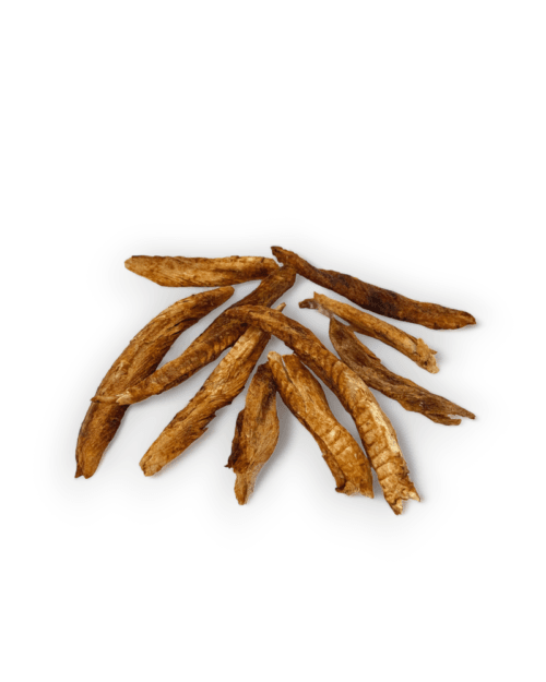 caballa-snack-natural-perros-mrbones Mr.Bones Atlanto skumbrės filė šunims – 100% natūralus užkandis