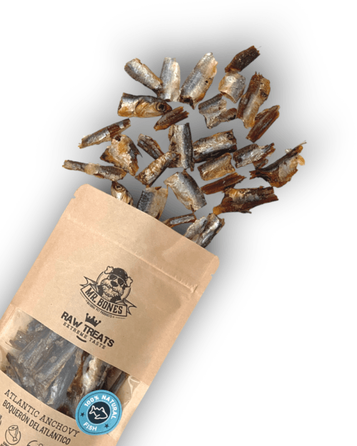 premio-snack-natural-anchovy-perro-gato-chuche-boqueron-raw-treats-mrbones Mr.Bones džiovintų ančiuvių RAW natūralus skanėstas šunims ir katėms