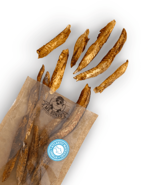 snack-natural-pescado-caballa-perros-mrbones Mr.Bones Atlanto skumbrės filė šunims – 100% natūralus užkandis