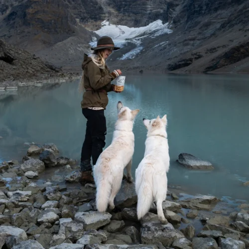 beautiful_view_with_dogs_and_dog_treats.jpg PALA skanėstai šunims - triušienos kąsneliai 100 g