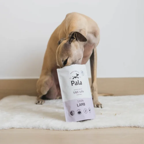 pala_lamb_treats_dog_eating.jpg Pala skanėstai šunims su ėriena