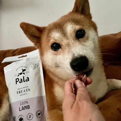 pala_pets_product_lifestyle_images28.jpg Pala skanėstai šunims su ėriena
