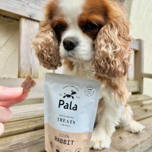 pala_pets_product_lifestyle_images65.jpg PALA skanėstai šunims - triušienos kąsneliai 100 g