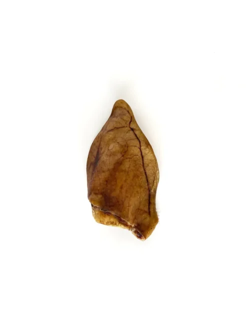 Snacks_Cerdo_Oreja_01.jpg Mr.Bones Iberijos kiaulių ausis šunims – 100% natūralus dantų užkandis