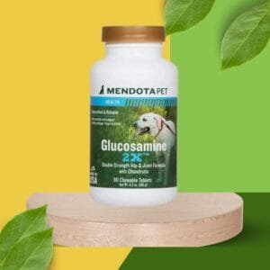 Mendota Pet Retrieve gliukozaminas 2X, 60 tab.
